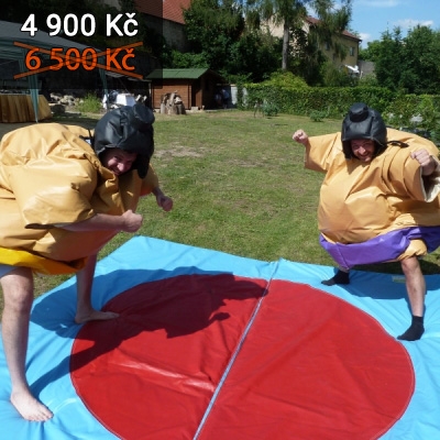 Sumo ring