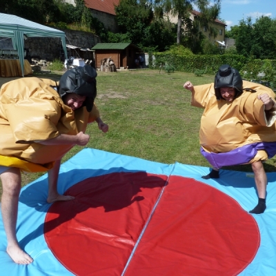 Sumo ring