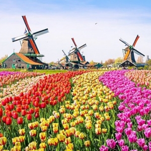 5-denní zájezd do Holandska