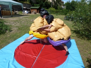 Sumo ring