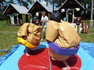 Sumo ring